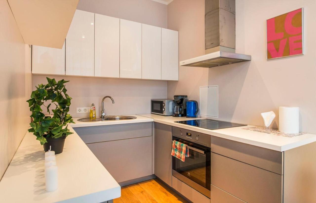ריגה Central 2-Level Penthouse With Terrace And Free Parking מראה חיצוני תמונה
